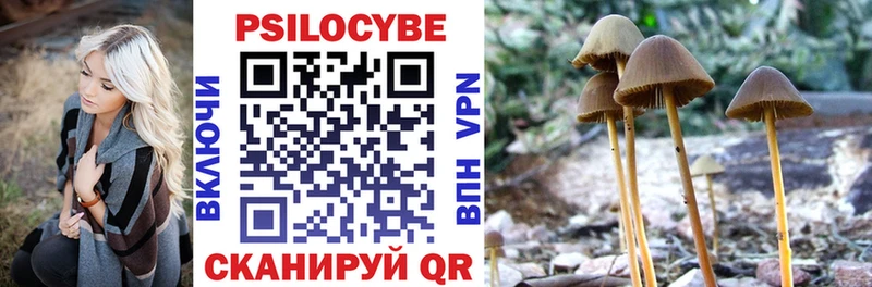 Псилоцибиновые грибы прущие грибы  Купить закладки  Балашов 